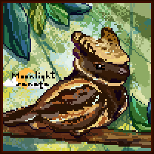 nightjar sus @/suspiciousstare